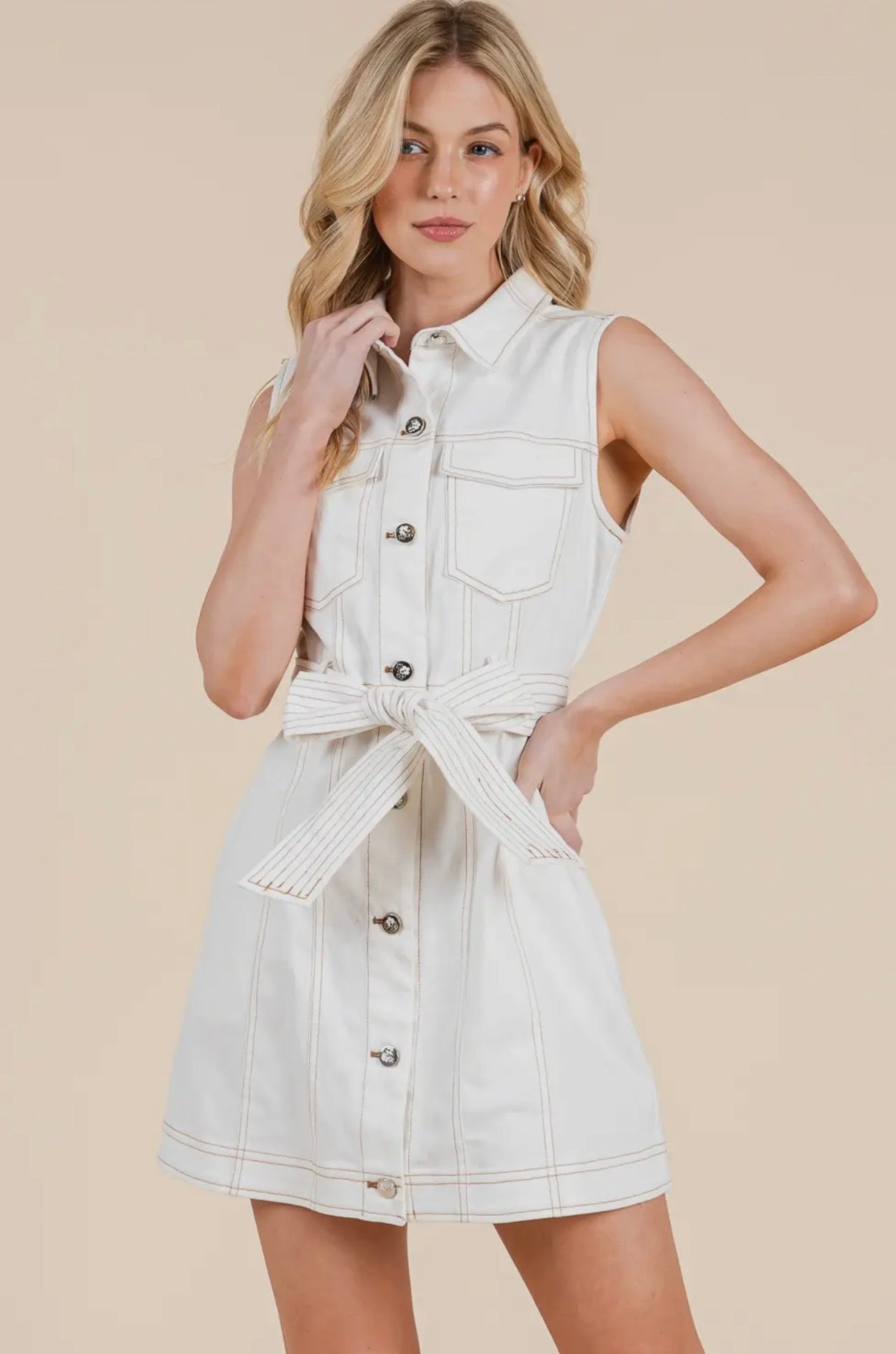 Carol Mini Dress